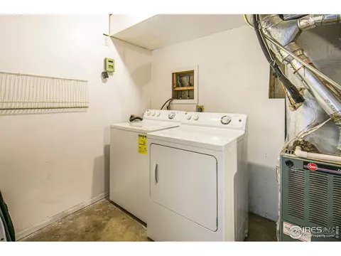 1113 Nantucket St, Windsor, CO 80550 photo 21