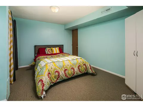 1113 Nantucket St, Windsor, CO 80550 photo 20