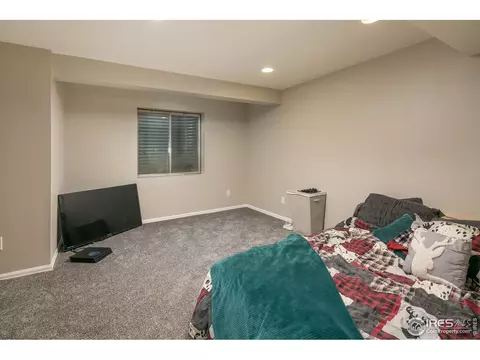 720 Apple Ct, Windsor, CO 80550 photo 19