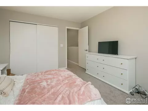 720 Apple Ct, Windsor, CO 80550 photo 17