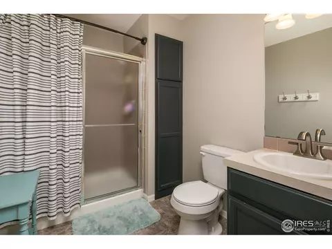 720 Apple Ct, Windsor, CO 80550 photo 13