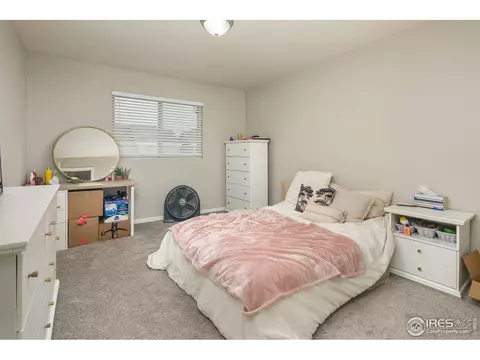720 Apple Ct, Windsor, CO 80550 photo 18