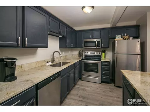720 Apple Ct, Windsor, CO 80550 photo 10
