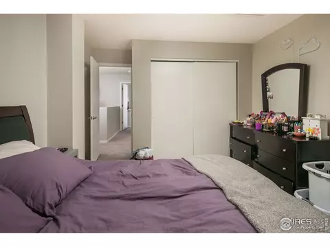 720 Apple Ct, Windsor, CO 80550 photo 14