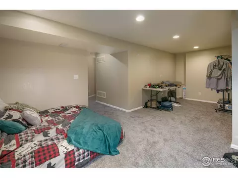 720 Apple Ct, Windsor, CO 80550 photo 20