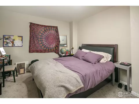 720 Apple Ct, Windsor, CO 80550 photo 15