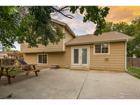 1042 Pinyon Ct, Windsor, CO 80550 photo 22