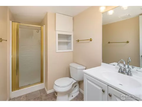 1042 Pinyon Ct, Windsor, CO 80550 photo 14
