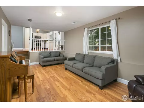 1042 Pinyon Ct, Windsor, CO 80550 photo 11