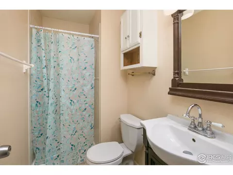 1042 Pinyon Ct, Windsor, CO 80550 photo 18