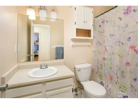 1042 Pinyon Ct, Windsor, CO 80550 photo 21
