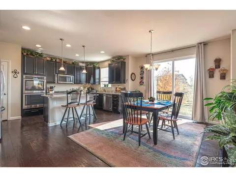 5950 Jasper St, Timnath, CO 80547 photo 10