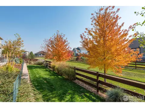 5950 Jasper St, Timnath, CO 80547 photo 25