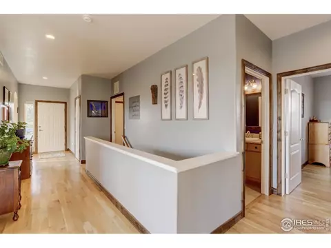 8679 E 148th Cir, Thornton, CO 80602 photo 4