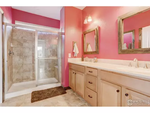 8679 E 148th Cir, Thornton, CO 80602 photo 19