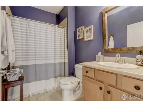 8679 E 148th Cir, Thornton, CO 80602 photo 22