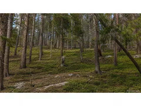 0 Steuart Rd, Idaho Springs, CO 80452