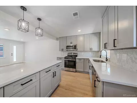 3738 N Eliot St #3, Denver, CO 80211