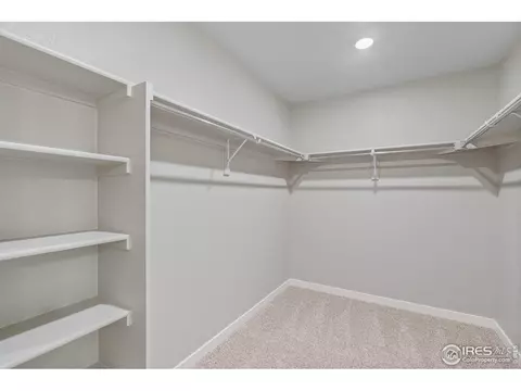 4527 Hollycomb Dr, Windsor, CO 80550 photo 23