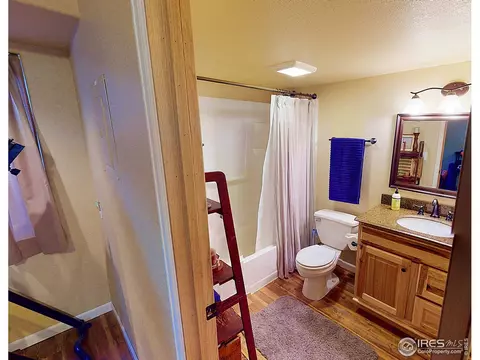 370 Sorrel Dr, Windsor, CO 80550 photo 24