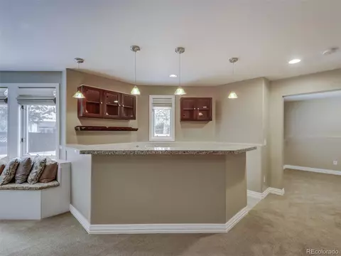 9262 E Hidden Hill Ct, Lone Tree, CO 80124 photo 33