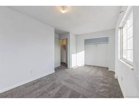 618 10th St, Windsor, CO 80550 photo 16