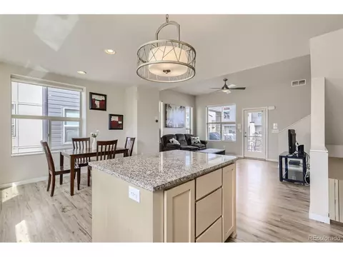 9074 E 49th Pl, Denver, CO 80238 photo 12