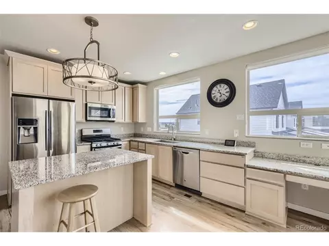 9074 E 49th Pl, Denver, CO 80238 photo 11