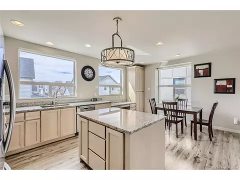 9074 E 49th Pl, Denver, CO 80238 photo 8