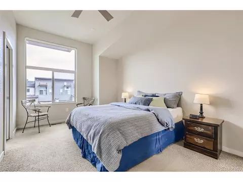 9074 E 49th Pl, Denver, CO 80238 photo 19