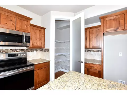 1403 Tahr Dr, Severance, CO 80550 photo 19