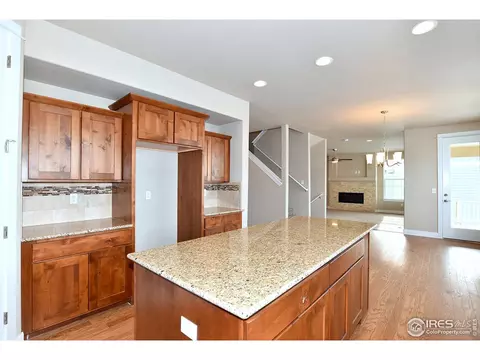 1403 Tahr Dr, Severance, CO 80550 photo 20