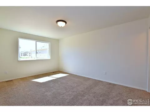 1000 Muntjac St, Severance, CO 80550 photo 29