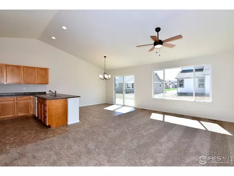1000 Muntjac St, Severance, CO 80550 photo 14