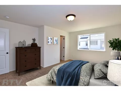 1000 Muntjac St, Severance, CO 80550 photo 8