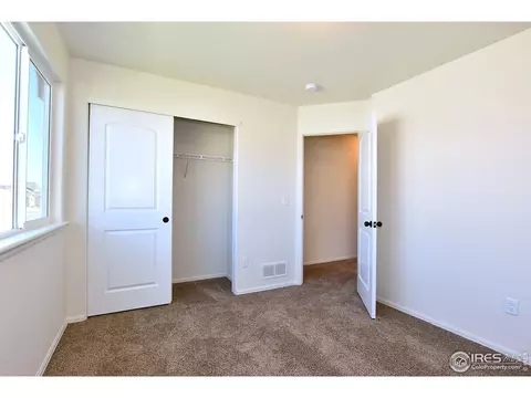 1000 Muntjac St, Severance, CO 80550 photo 33