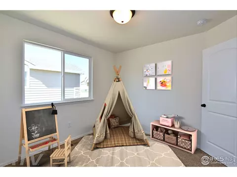 1000 Muntjac St, Severance, CO 80550 photo 10
