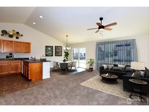 1000 Muntjac St, Severance, CO 80550 photo 6