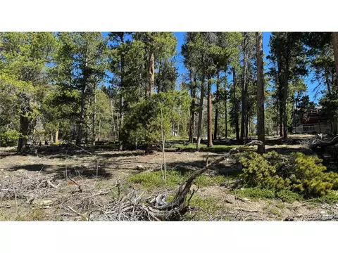 1 Tiber Rd, Black Hawk, CO 80422 photo 7