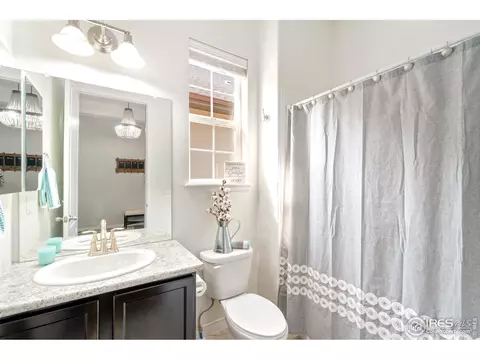 2040 Vineyard Dr, Windsor, CO 80550 photo 20