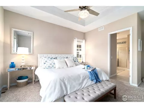 2040 Vineyard Dr, Windsor, CO 80550 photo 17