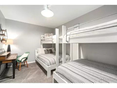 2040 Vineyard Dr, Windsor, CO 80550 photo 27