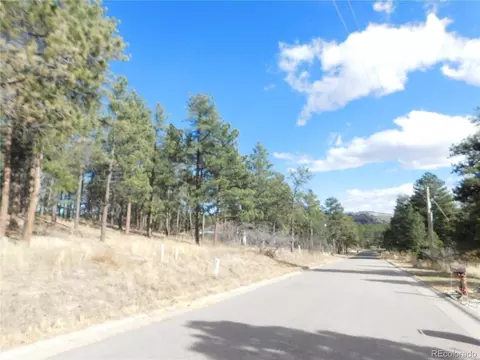 1345 Fremont Dr, Larkspur, CO 80118