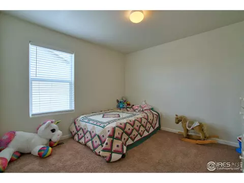 908 Wagon Bend Rd, Berthoud, CO 80513 photo 13