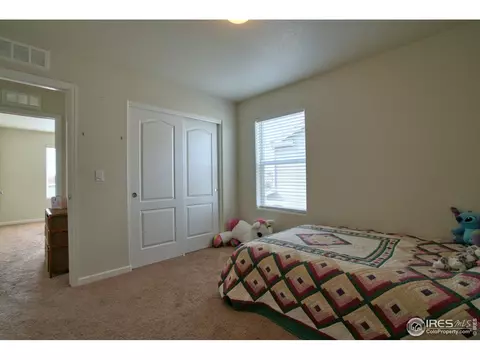 908 Wagon Bend Rd, Berthoud, CO 80513 photo 14