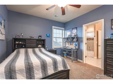 1836 Seadrift Ct, Windsor, CO 80550 photo 26