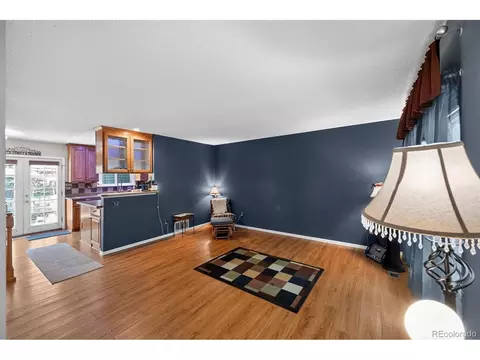 Living - 11892 W Dumbarton Dr, Morrison, CO 80465 photo 2 of 4