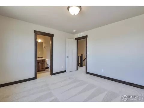 5005 Thunderhead Dr, Timnath, CO 80547 photo 33