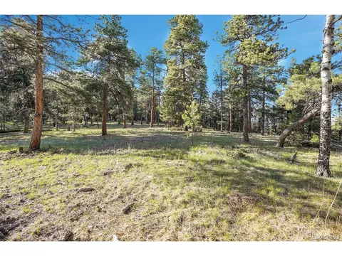 Molly Dr, Conifer, CO 80433 photo 5