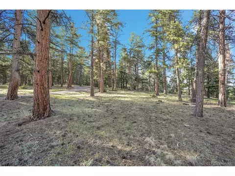 Molly Dr, Conifer, CO 80433 photo 7